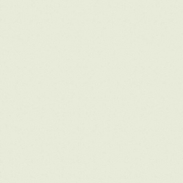 Giấy Dán Tường Giá Rẻ The View TWall 2024 9806-2