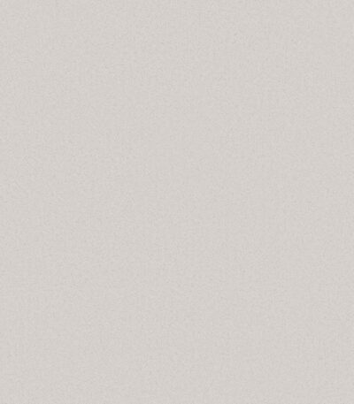 Giấy Dán Tường Giá Rẻ The View TWall 2024 9806-4