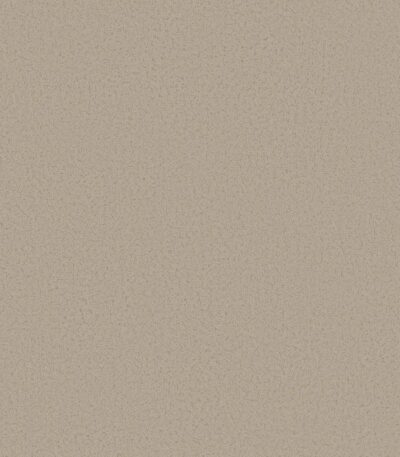 Giấy Dán Tường Giá Rẻ The View TWall 2024 9806-5