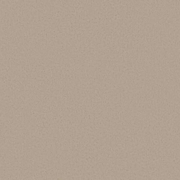 Giấy Dán Tường Giá Rẻ The View TWall 2024 9806-5