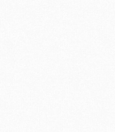 Giấy Dán Tường Giá Rẻ The View TWall 2024 9816-4