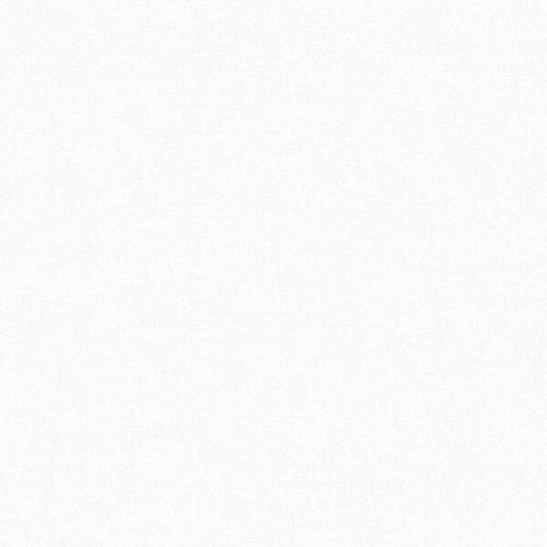 Giấy Dán Tường Giá Rẻ The View TWall 2024 9816-4