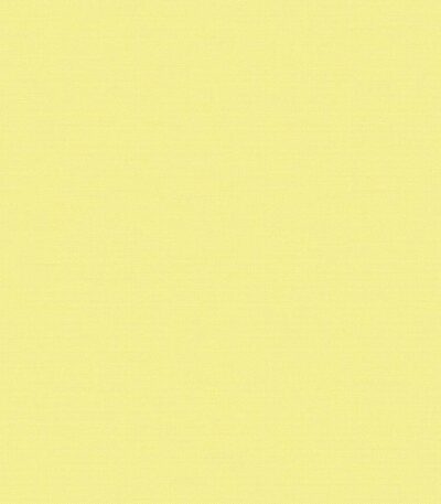 Giấy Dán Tường Giá Rẻ The View TWall 2024 9824-1