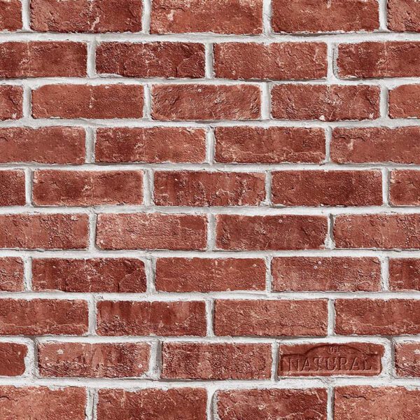 Giấy Dán Tường Giá Rẻ The View TWall 2024 9828-3