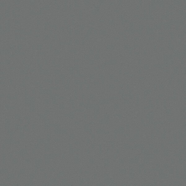 Giấy Dán Tường Giá Rẻ The View TWall 2024 9829-1