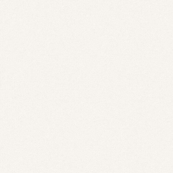 Giấy Dán Tường Giá Rẻ The View TWall 2024 9829-2