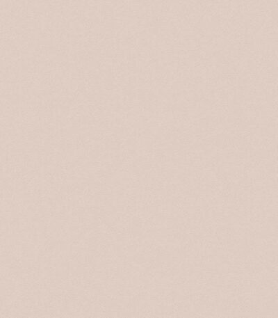 Giấy Dán Tường Giá Rẻ The View TWall 2024 9829-5