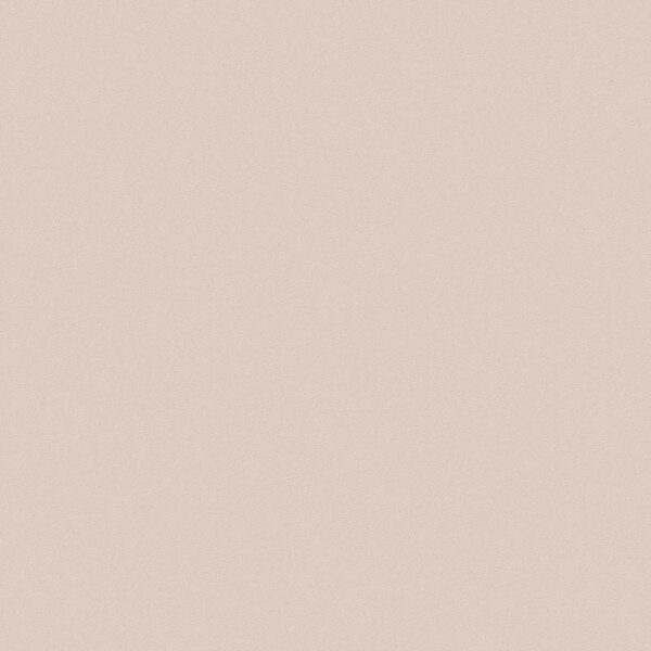 Giấy Dán Tường Giá Rẻ The View TWall 2024 9829-5