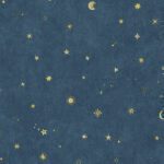 Giấy Dán Tường Giá Rẻ Vconcept 2023 7949-2