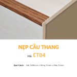 Nẹp Nhôm Cầu Thang Chống Trượt CT04