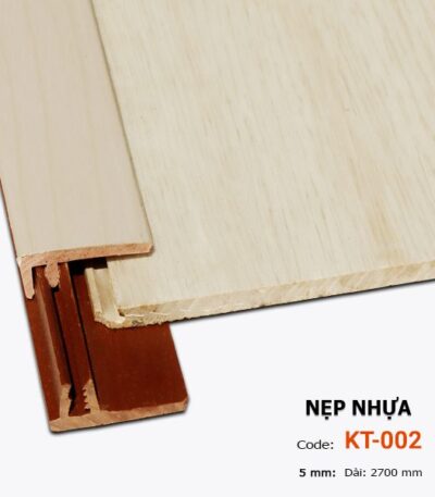 Nẹp Nhựa Kết Thúc Sàn Nhựa 5mm KT-002-5