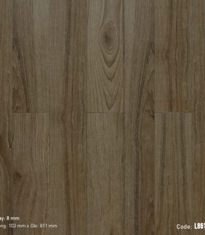 Sàn Gỗ Công Nghiệp Cao Cấp Cốt Đen Dream Lucky L8618