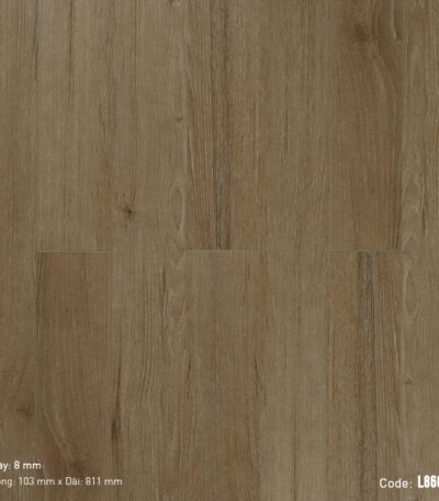 Sàn Gỗ Công Nghiệp Cao Cấp Cốt Đen Dream Lucky L8668