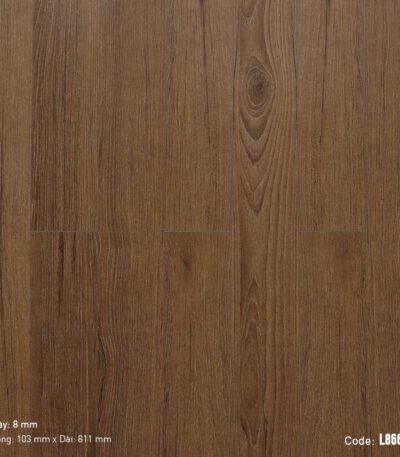 Sàn Gỗ Công Nghiệp Cao Cấp Cốt Đen Dream Lucky L8669