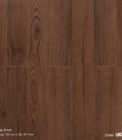 Sàn Gỗ Công Nghiệp Cao Cấp Cốt Đen Dream Lucky L8679