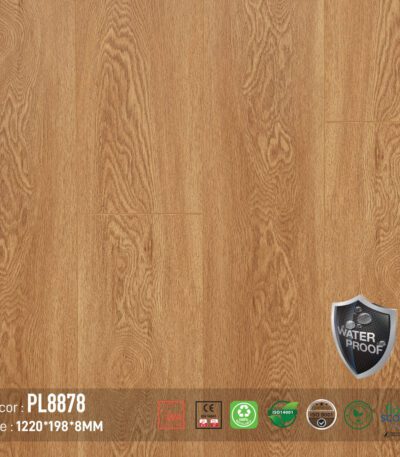 Sàn Gỗ Dream Lux PL8878