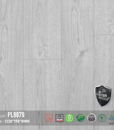 Sàn Gỗ Dream Lux PL8879