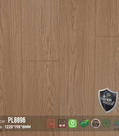Sàn Gỗ Dream Lux PL8896