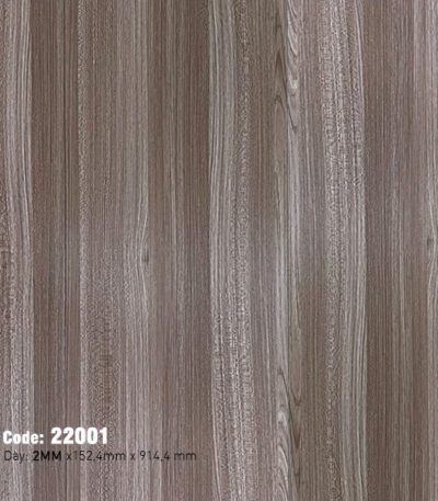 Sàn Nhựa Dán Keo 2mm MSFloor 22001