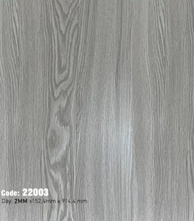 Sàn Nhựa Dán Keo 2mm MSFloor 22003