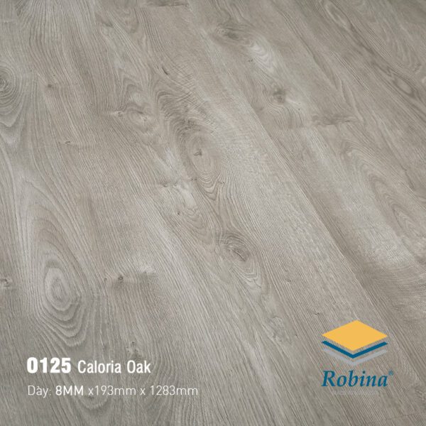 Sàn Gỗ Công Nghiệp Robina 8mm Bản Lớn O125