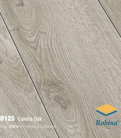 Sàn Gỗ Công Nghiệp Robina 8mm Bản Nhỏ O125