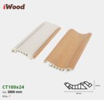 Nẹp Nhựa Cổ Trần Iwood CT100x24-2