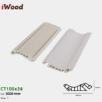 Nẹp Nhựa Cổ Trần Iwood CT100x24-9