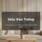 Bộ sưu tập giấy dán tường Vua Gỗ - giải pháp trang trí tường đa phong cách