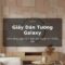 Giấy dán tường Galaxy - tinh vân, vì sao, dải màu kỳ ảo tái hiện vũ trụ sống động