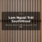 Lam ngoài trời SouthWood WPC - thanh lam đa quy cách che nắng, tạo điểm nhấn kiến trúc